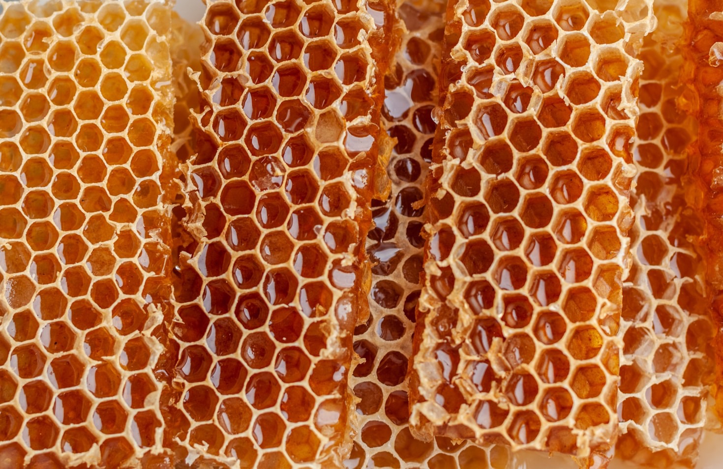 Top 5 Benefits of Using Pure Local Honey