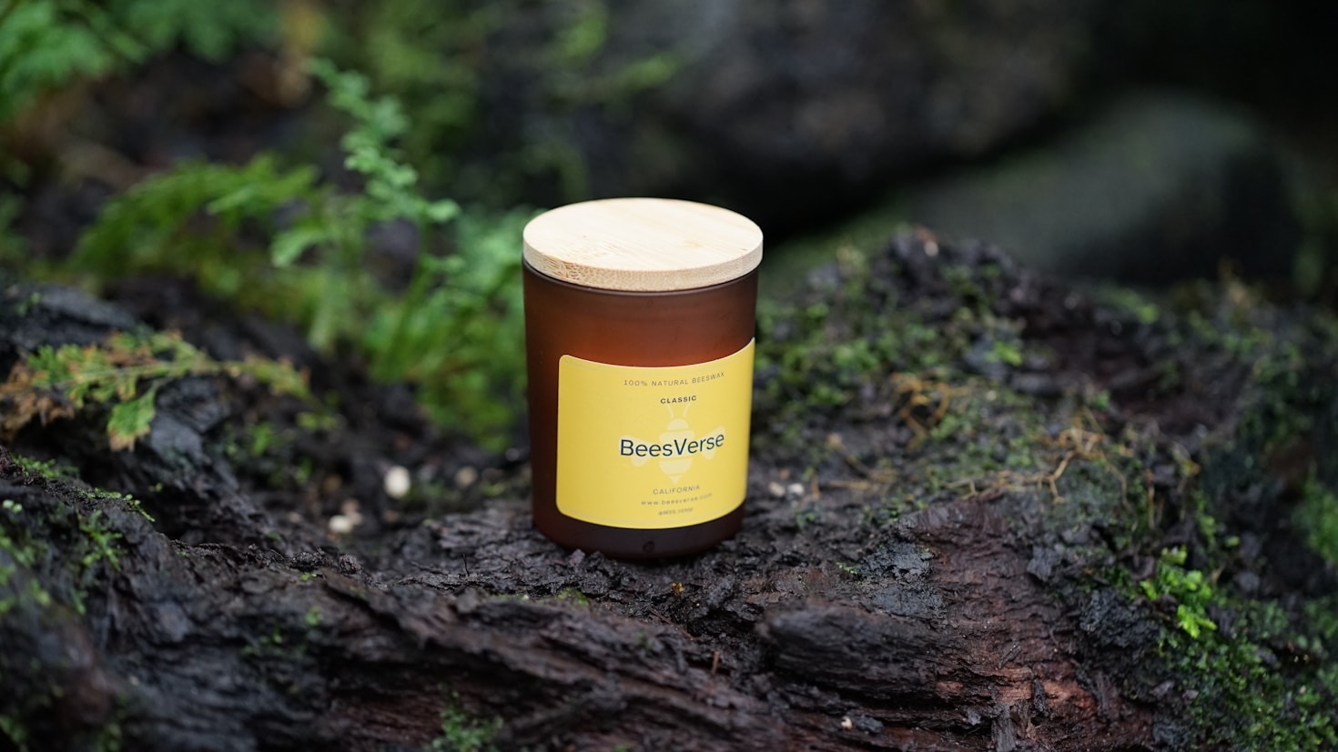 Understanding the Honey Extraction Process