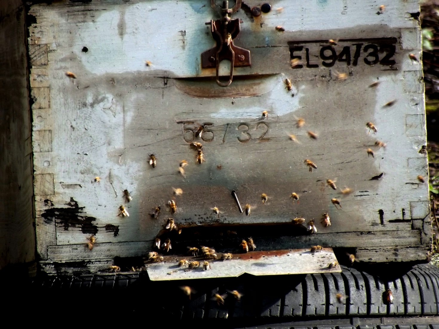 Exploring the Uses of Beeswax Beyond Candles